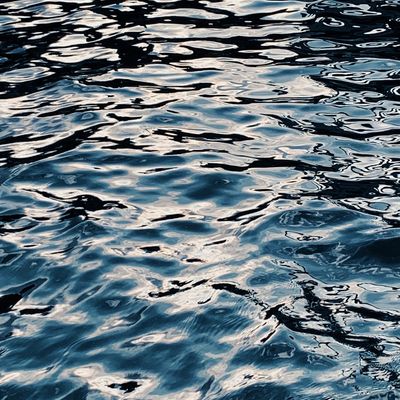 Water ripples in a dark pool, creating concentric circles.